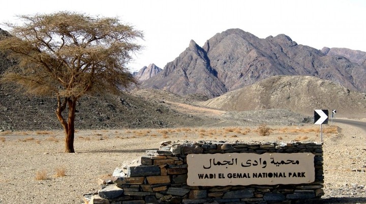 Wadi El Gamal National Park