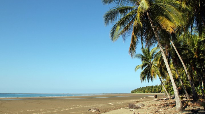 Strand van Nationaal Park Marino Ballena