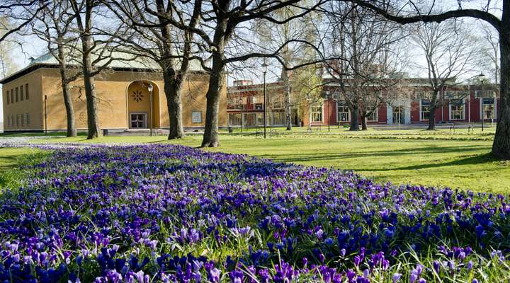 Värmlands Museum