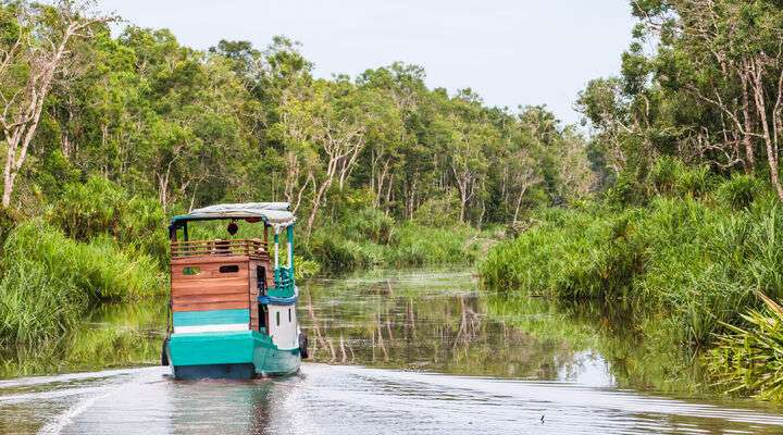 Tanjung Puting National Park
