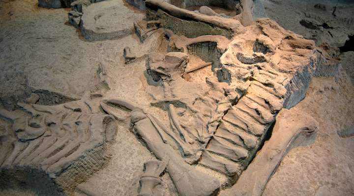 Museo de Ambar Dominicano