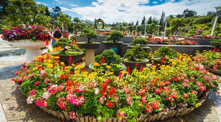 Dalat Flower Garden