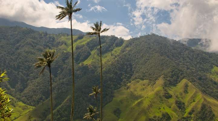 Prachtige natuur in Colombia