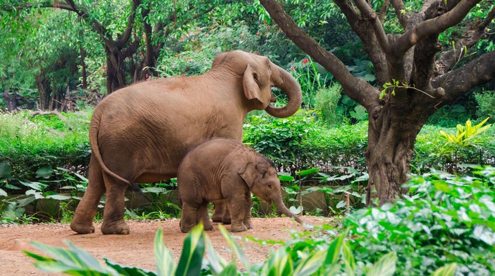 Murchison Falls National Park