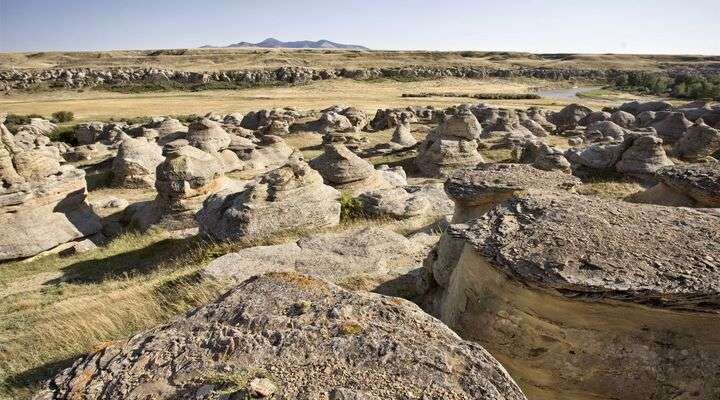 Dinosaur Provincial Park
