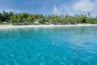 De flora en fauna van Tonga
