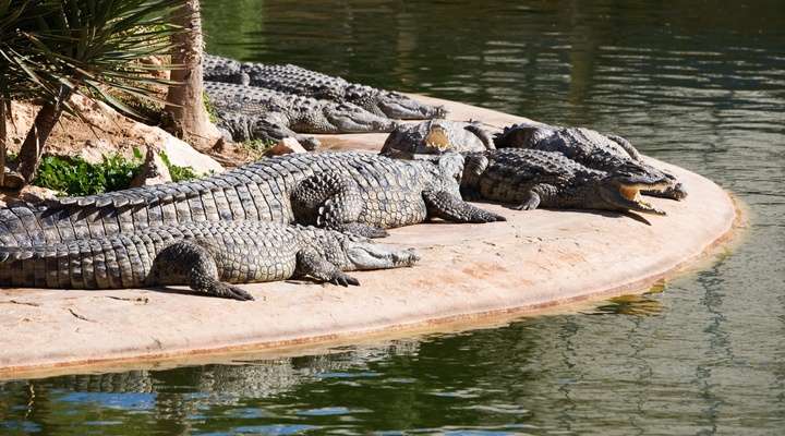 Djerba Explore Park