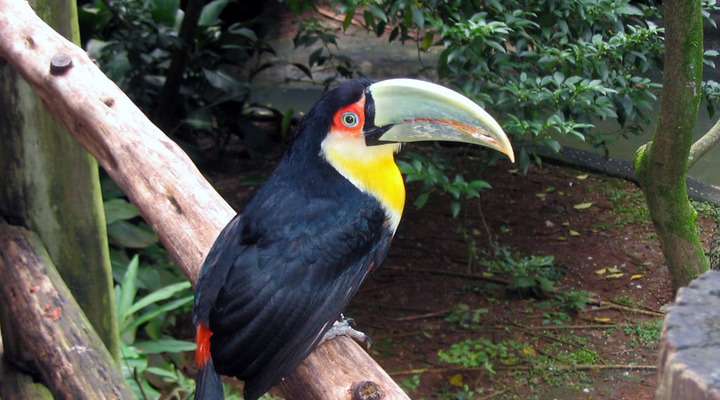 Montecristo-El Trifinio National Park