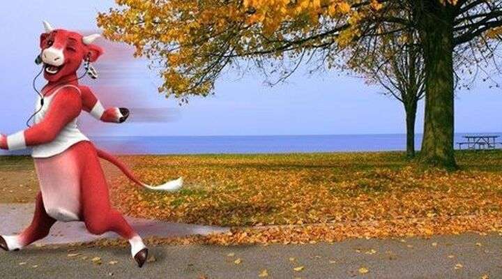 La Vache qui rit