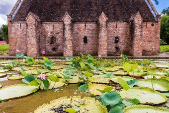Reisadvies: Is Suriname een veilig vakantieland?