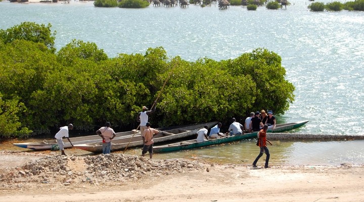 Vakantieverhaal Over Senegal Senegal Eerste Stappen Op Afrikaanse Bodem Reisgraag Nl