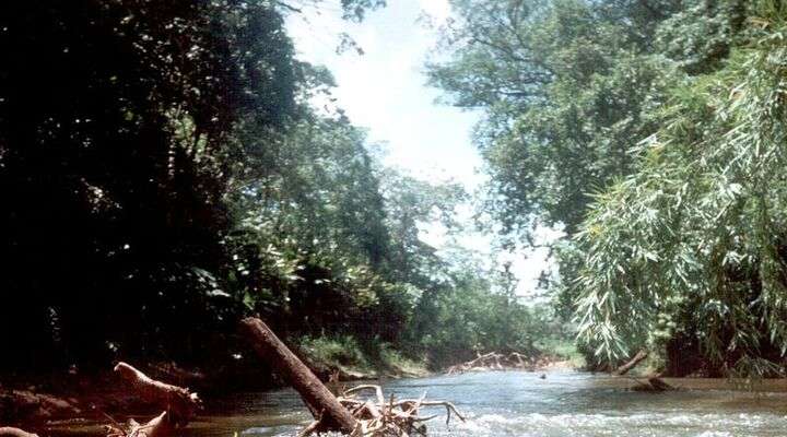 Biosfeerreservaat Río Plátano