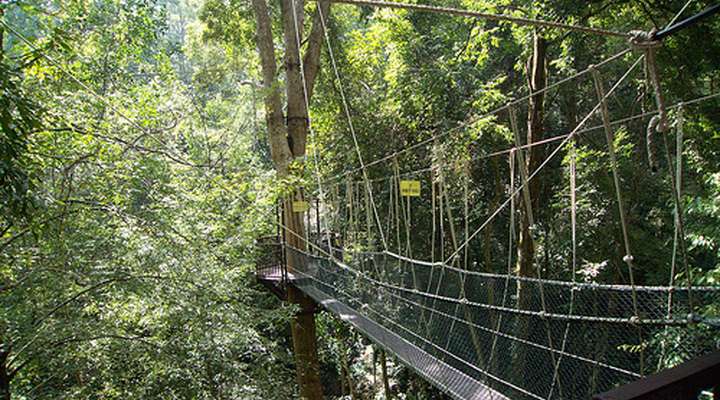 Penang National Park