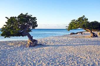 Aruba & Curaçao