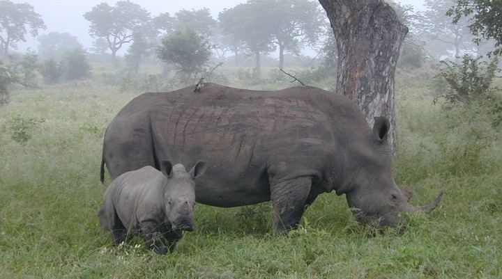 Matabo National Park