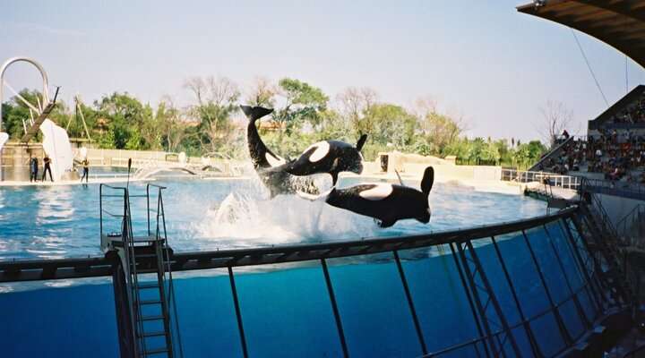 Marineland