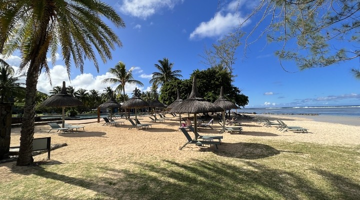 Strand van Mauritius met palmbomen