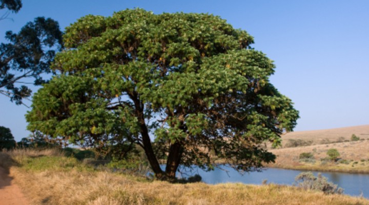 Nyika National Park