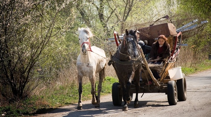 Zigeuner met paard en wagen, gypsy, Roemenie