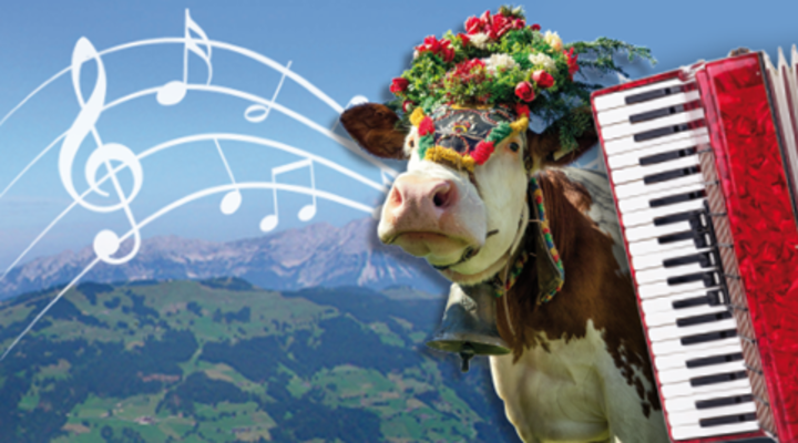 De muziekreizen van Effeweg.nl