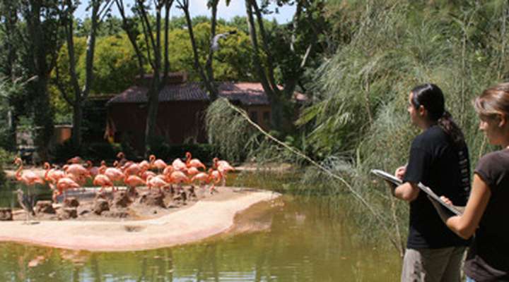 Parc Zoològic