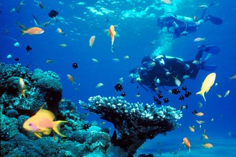TUI breidt het aanbod op Bonaire verder uit