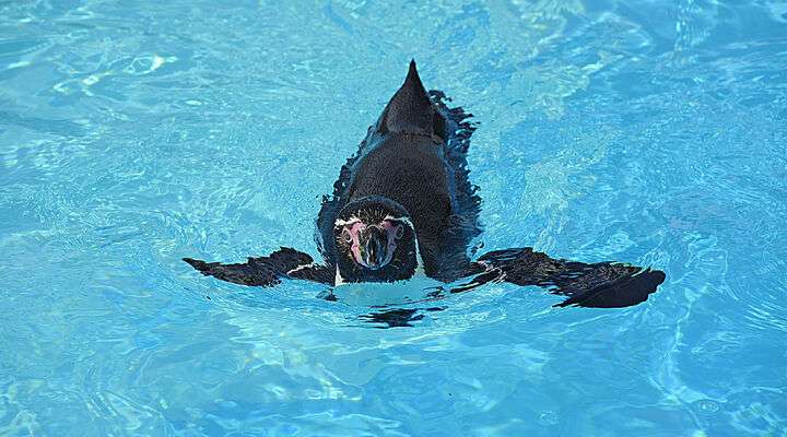 Marineland Catalunya