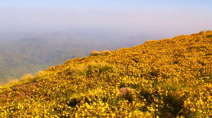 Simien Mountains National Park