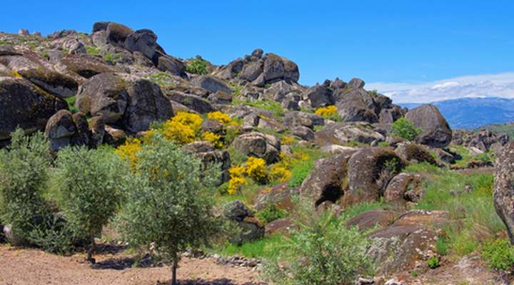 Serra da Estrela