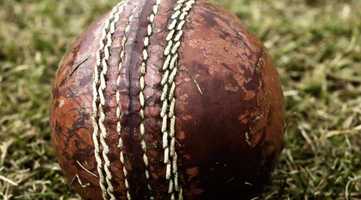 Cricketwedstrijd bezoeken