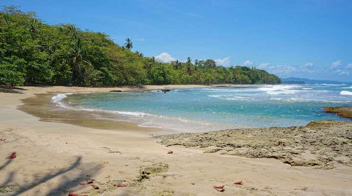Playa Chiquita, Puerto Viejo de Talamanca