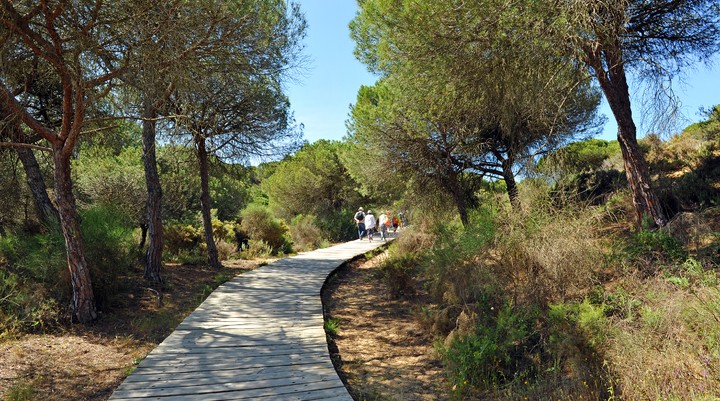 Nationaal Park Doñana