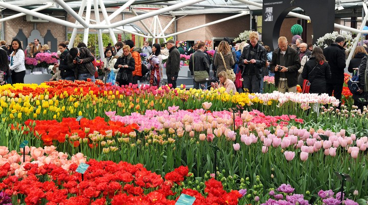 De Keukenhof