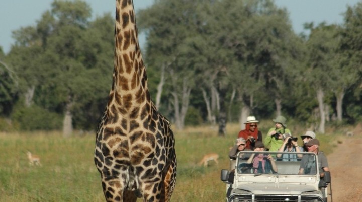 Lilongwe Wildlife Centre