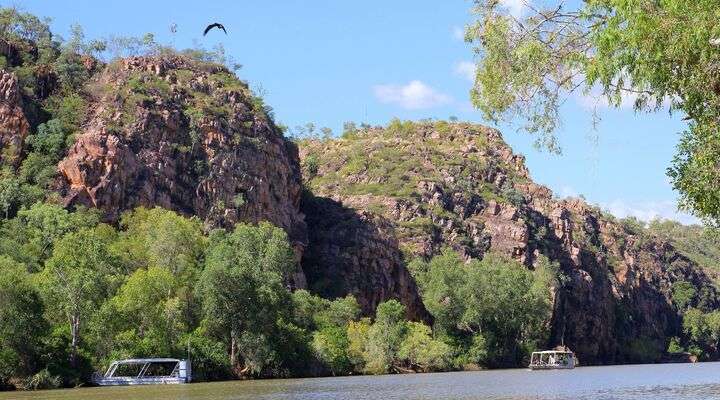 Alice Springs Desert Park