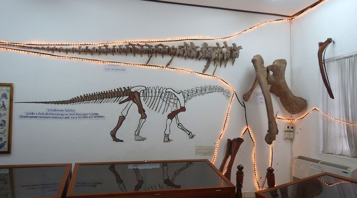 Dinosaur Museum
