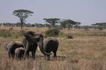 Mooiste plekken van Tanzania
