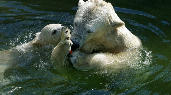 Zoo Rostock