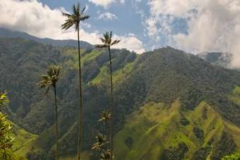Werelderfgoed in Colombia