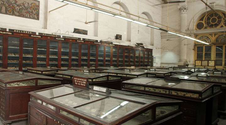 Indian Museum