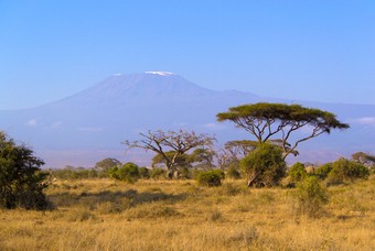 Reisadvies: Is Kenia een veilig vakantieland?