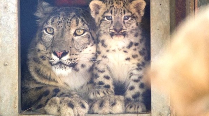 Assiniboine Park Zoo