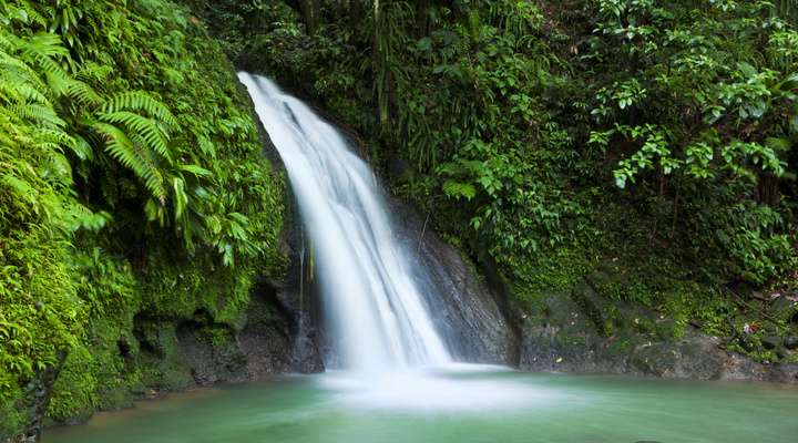 Watervallen op Basse Terre