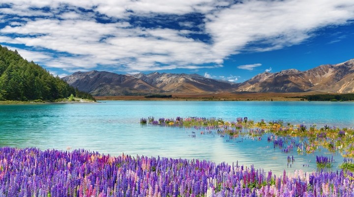 Lake Tekapo