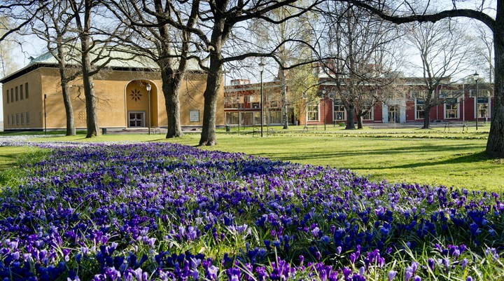 Värmlands Museum