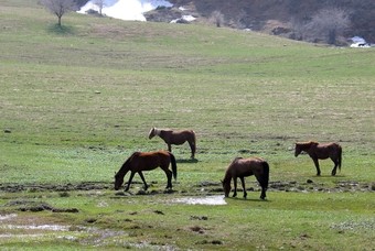 De nationale parken van Oezbekistan