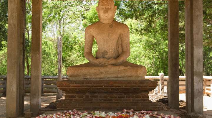 Boeddha Samadhi