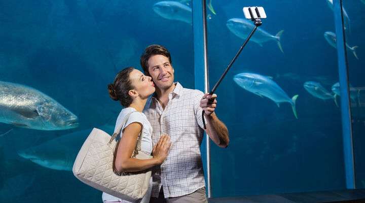 Aquarium du Grand Lyon