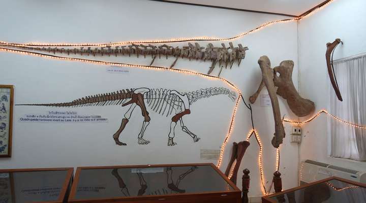 Dinosaur Museum