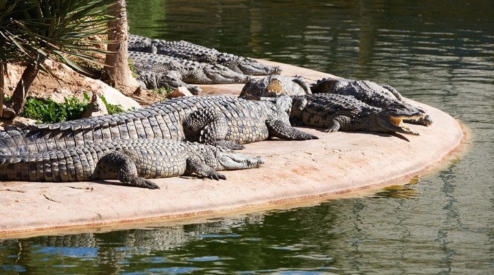 Phuket Zoo